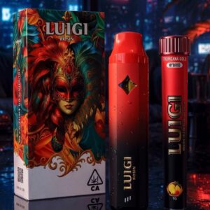 Luigi Rosin